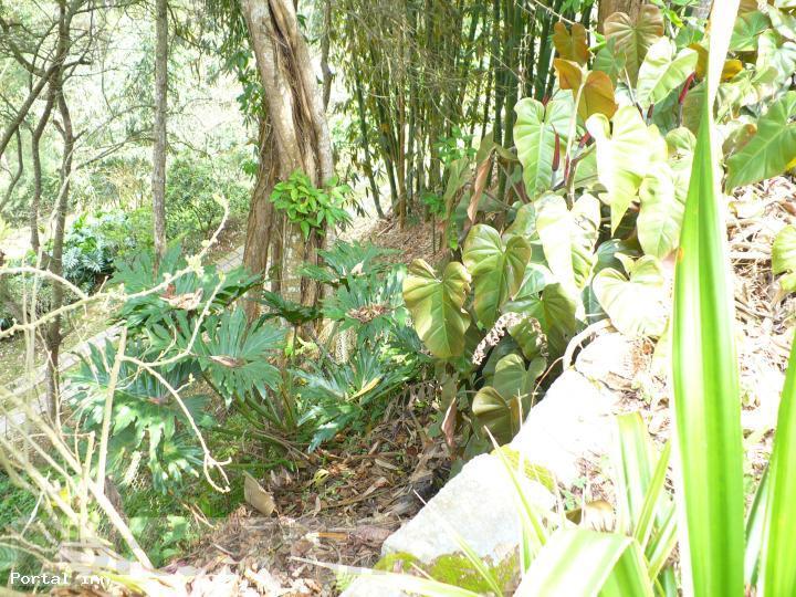 Terreno à venda com 325m² de terreno no Posse, Teresópolis (RJ) — foto 4 de 6